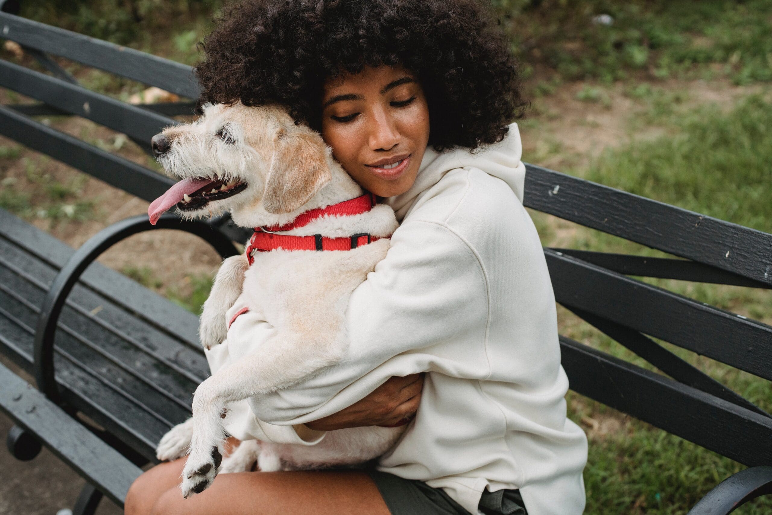 Emotional Support Animal Letter